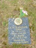 image of grave number 655010